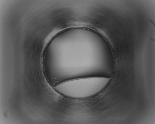 X0000102031472200807180955