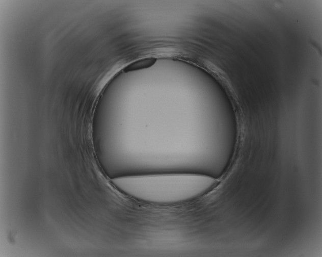 X0000102031473200807180955