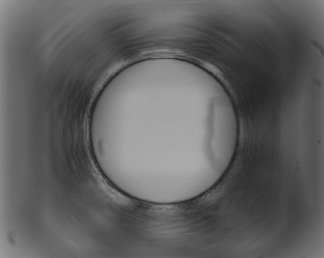 X0000102031474200807180955