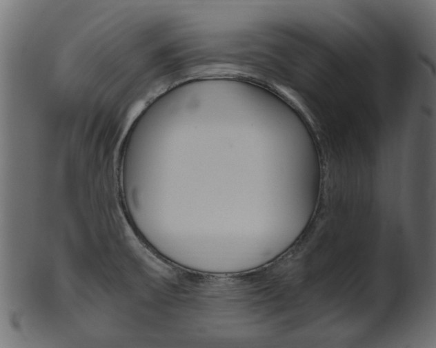 X0000102031475200807180955