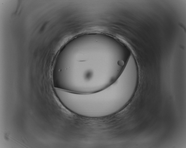 X0000102031477200807180955