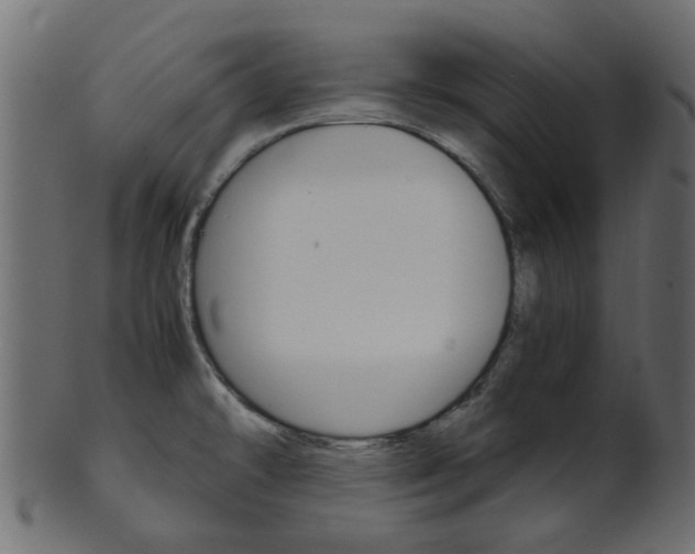 X0000102031478200807180955