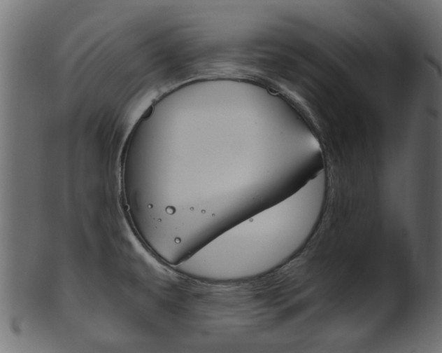X0000102031479200807180955