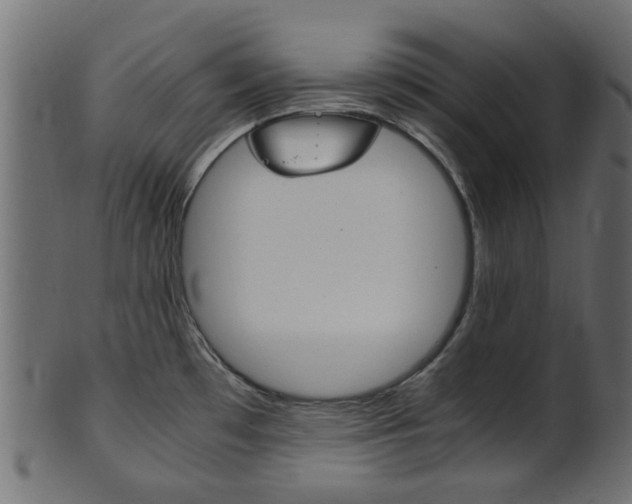 X0000102031481200807180955