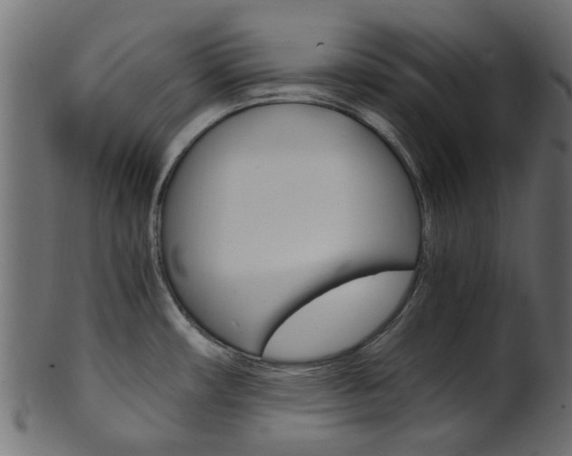 X0000102031482200807180955