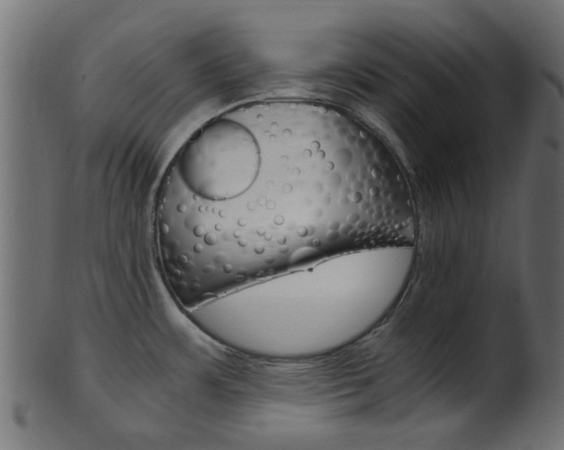 X0000102031483200807180955
