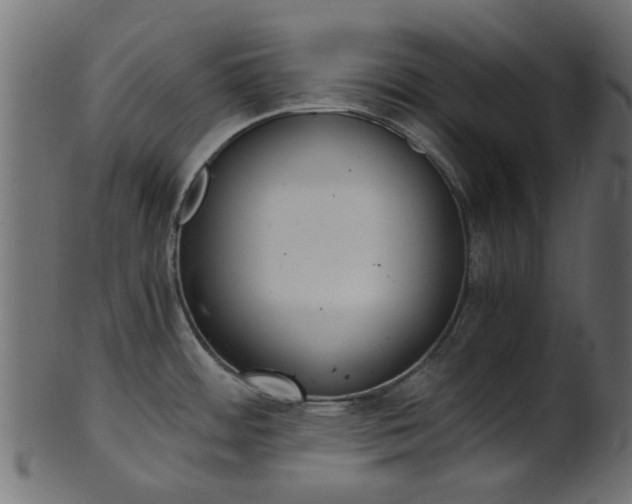 X0000102031484200807180955