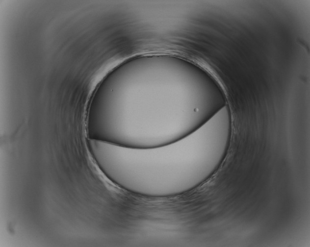X0000102031485200807180955