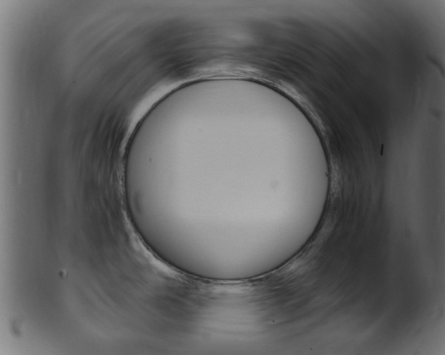 X0000102031486200807180955