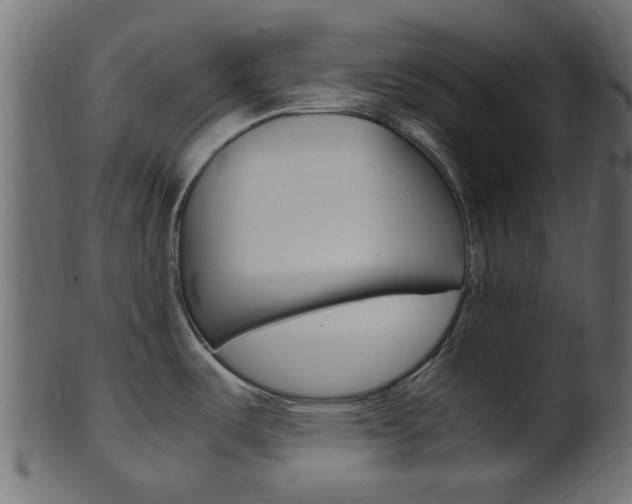 X0000102031487200807180955
