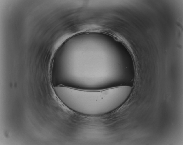 X0000102031488200807180955