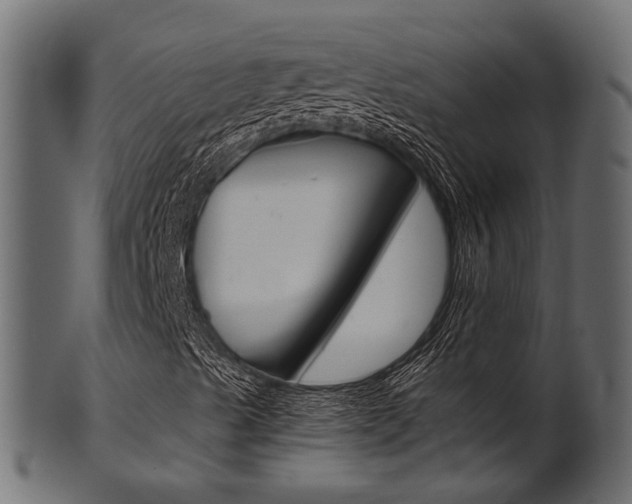 X0000102031489200807180954