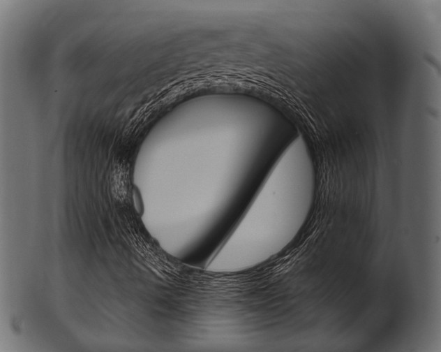 X0000102031490200807180954
