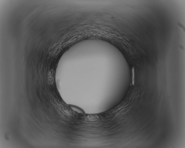 X0000102031491200807180954