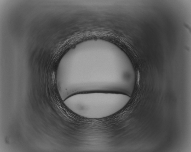 X0000102031492200807180954