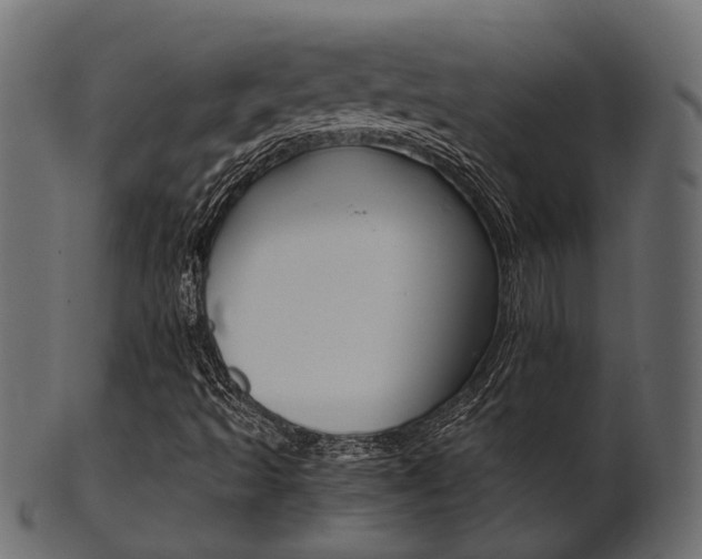 X0000102031493200807180954