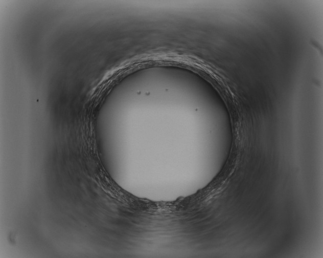 X0000102031494200807180954