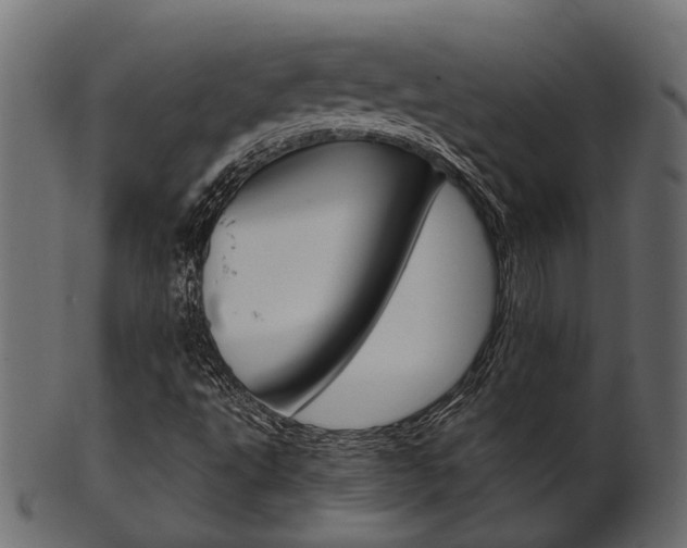 X0000102031495200807180954