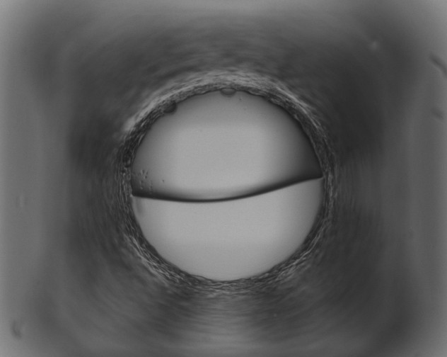 X0000102031496200807180954