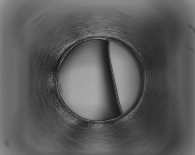 X0000102031497200807180954