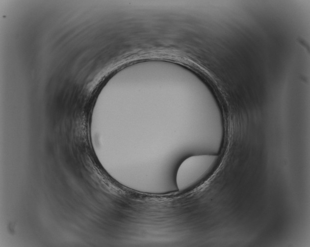 X0000102031498200807180954