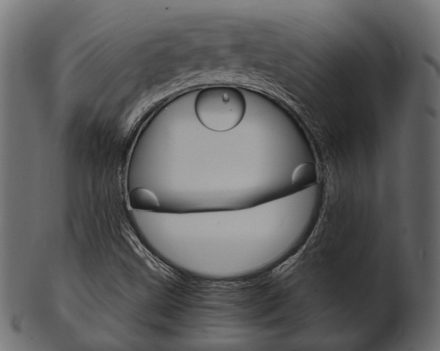 X0000102031499200807180954