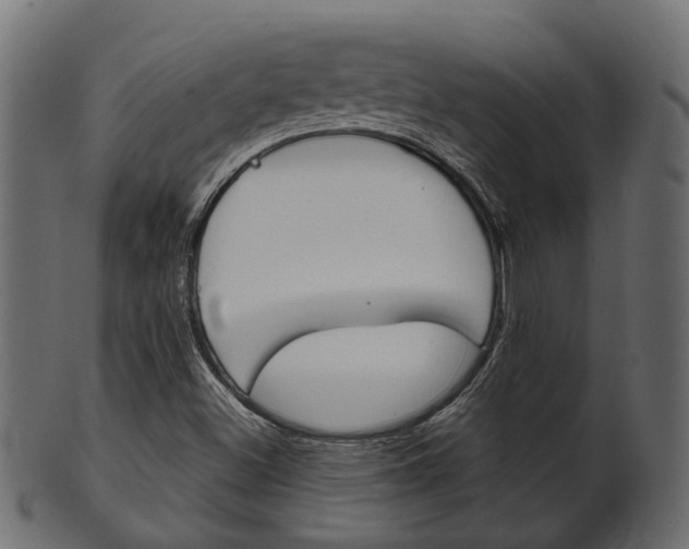 X0000102031500200807180954