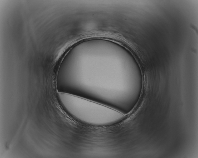 X0000102031501200807180954