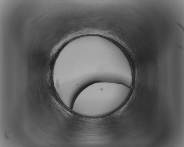 X0000102031502200807180954