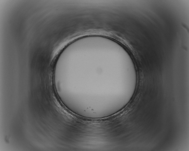 X0000102031504200807180954