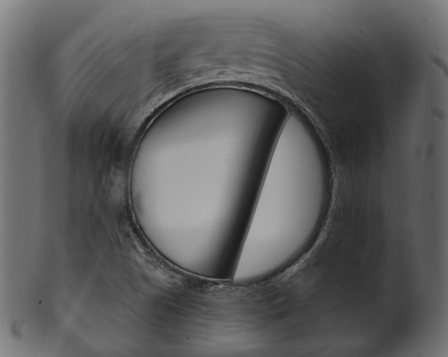 X0000102031505200807180954