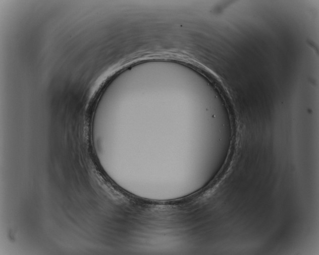 X0000102031506200807180954