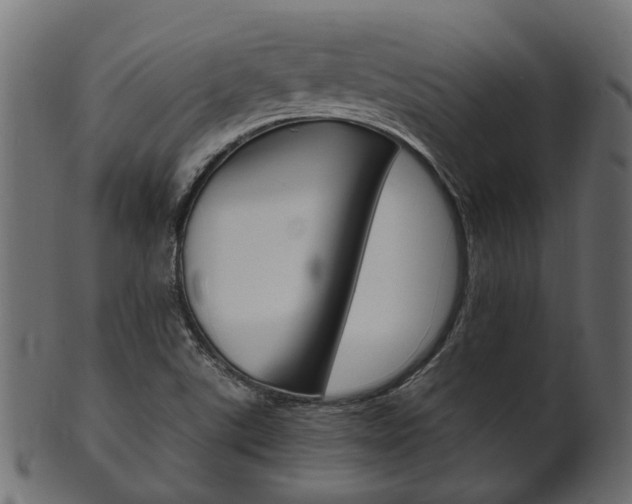 X0000102031507200807180954
