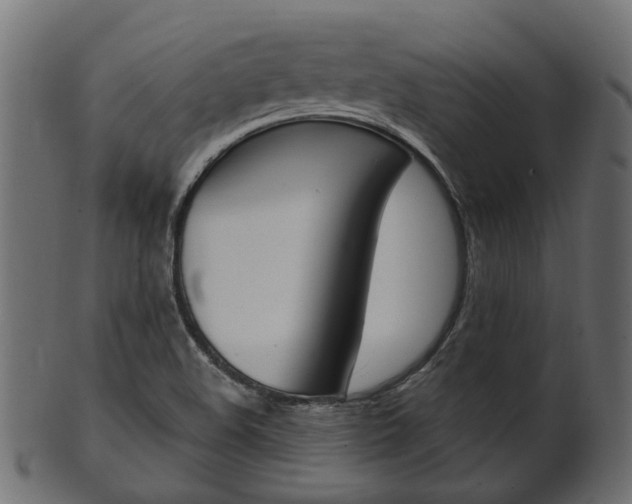 X0000102031508200807180954