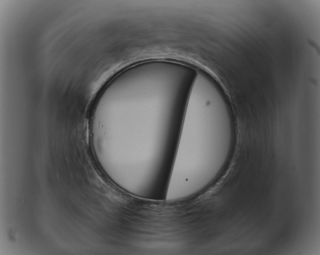 X0000102031509200807180954