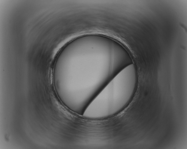 X0000102031510200807180954