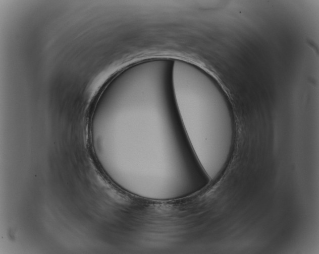 X0000102031511200807180954