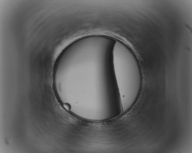 X0000102031512200807180954