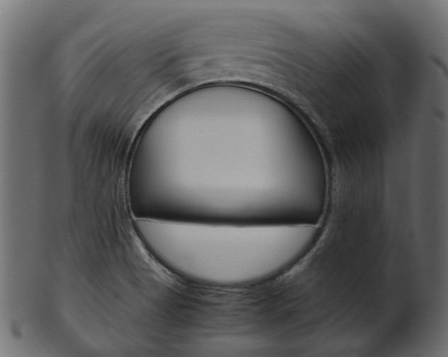 X0000102031513200807180954