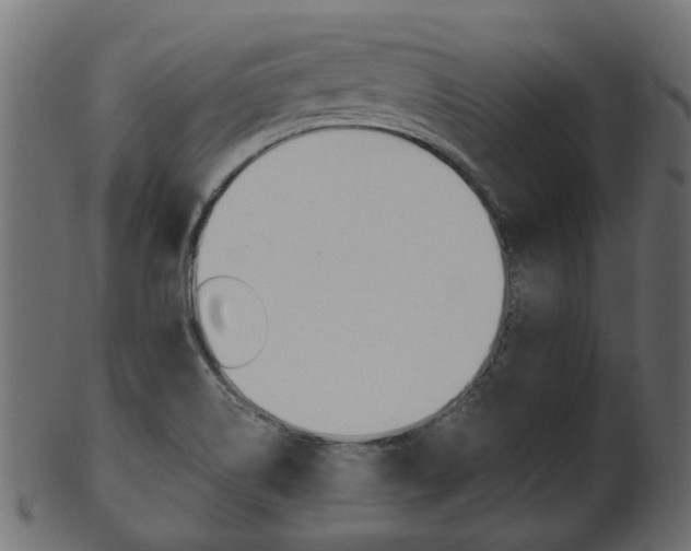 X0000102031514200807180954
