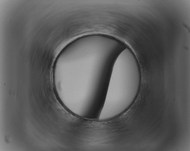 X0000102031516200807180954