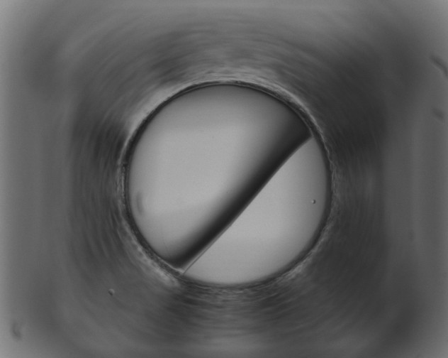 X0000102031517200807180954