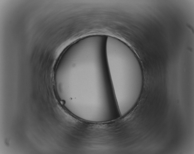 X0000102031519200807180954