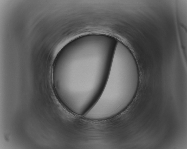 X0000102031520200807180955