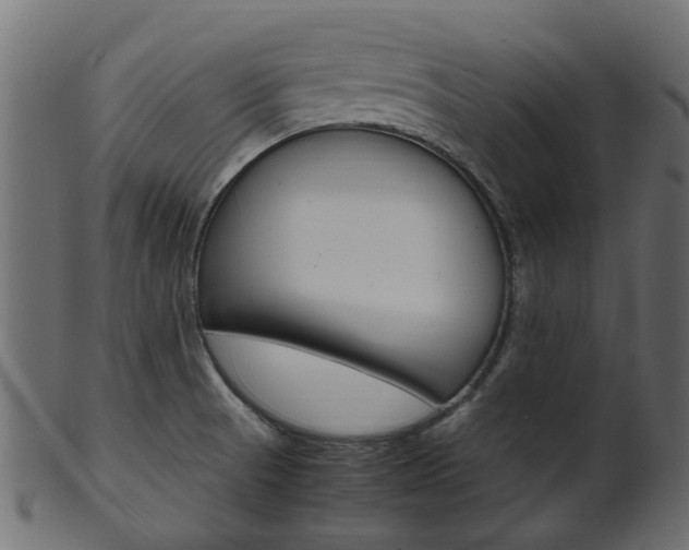 X0000102031521200807180955