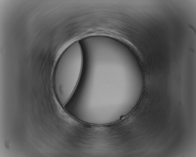 X0000102031522200807180955