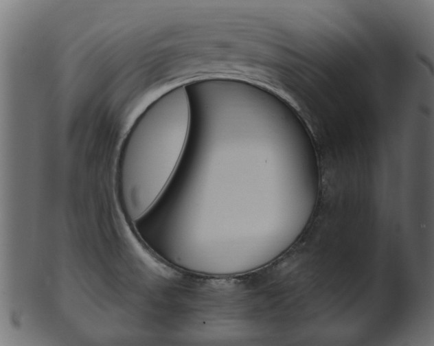 X0000102031523200807180955