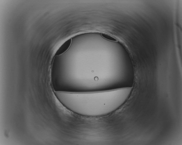 X0000102031524200807180955