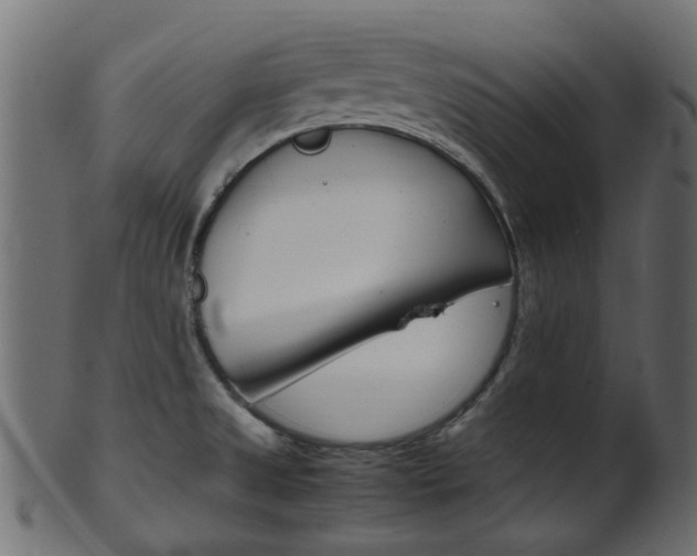 X0000102031525200807180955