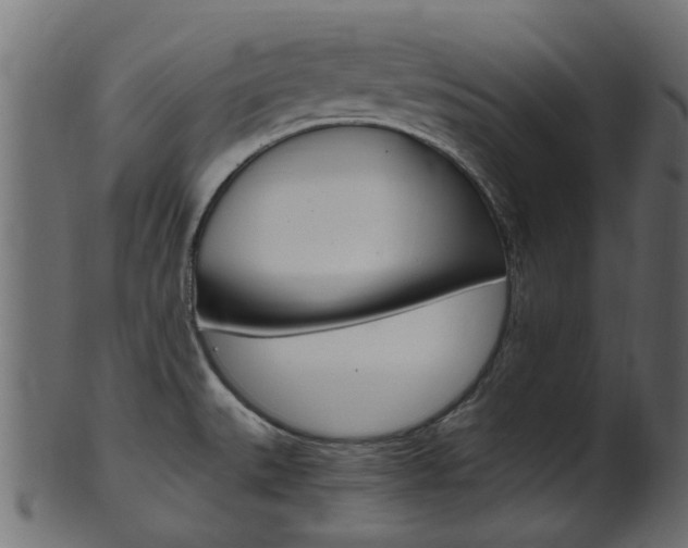 X0000102031527200807180955